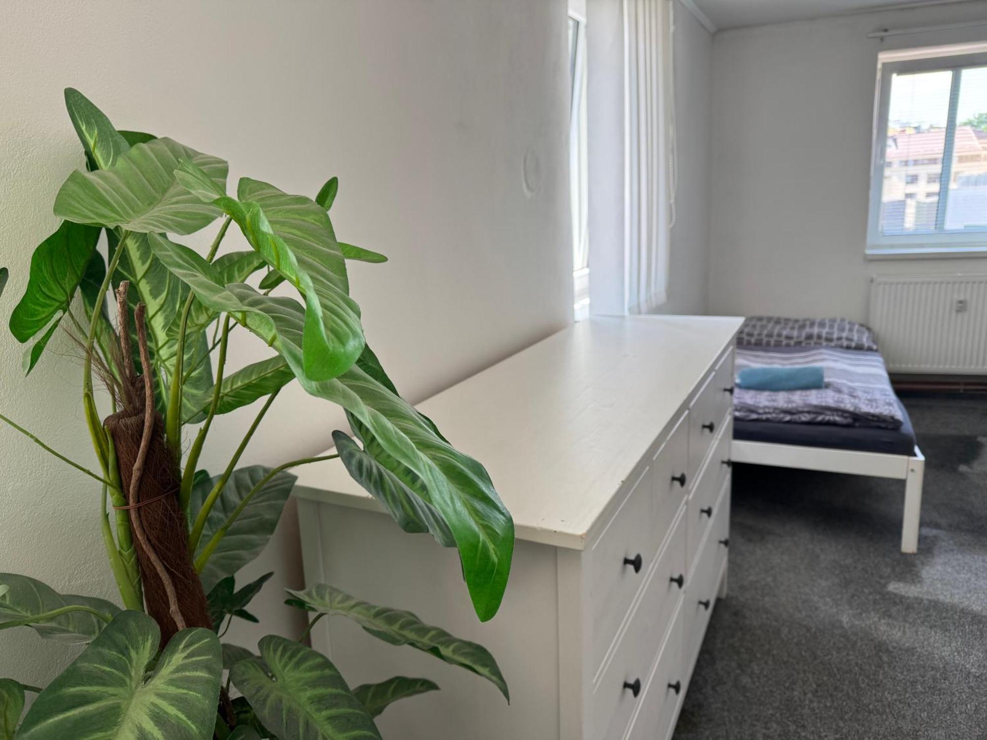 Old Town Apartments R11 Оломоуц Екстериор снимка